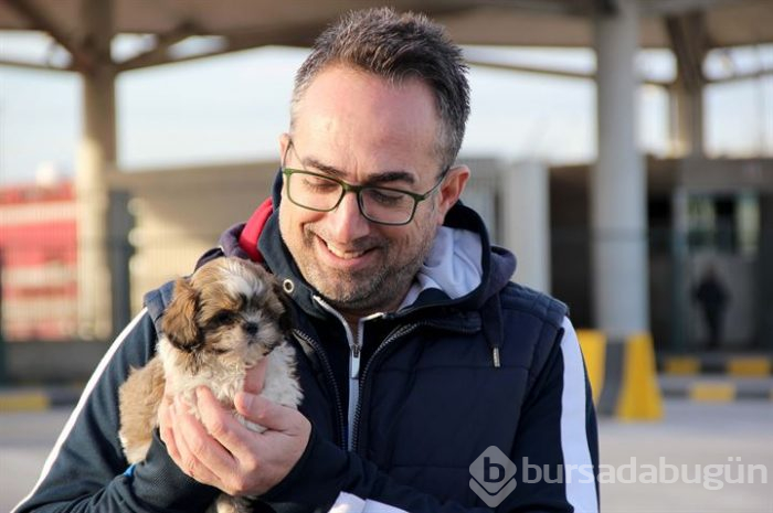 Karton kutularda 14 köpek yavrusu bulundu