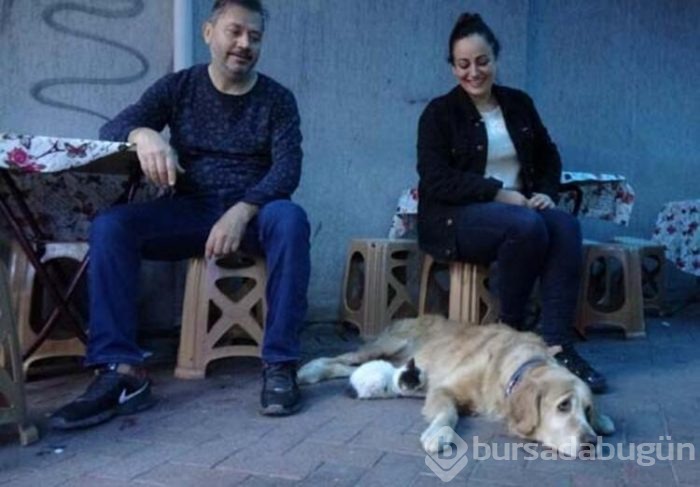 Dışlanan kediyi o sahiplendi