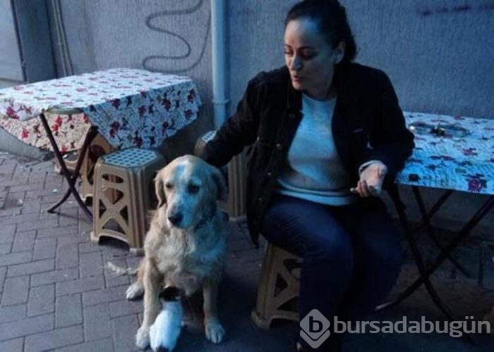 Dışlanan kediyi o sahiplendi