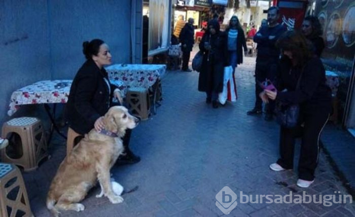 Dışlanan kediyi o sahiplendi