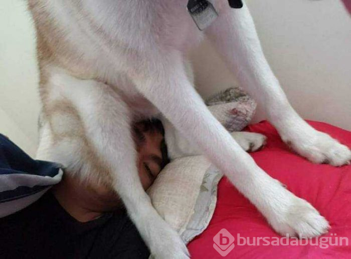 Günün en çok paylaşılan fotoğrafları