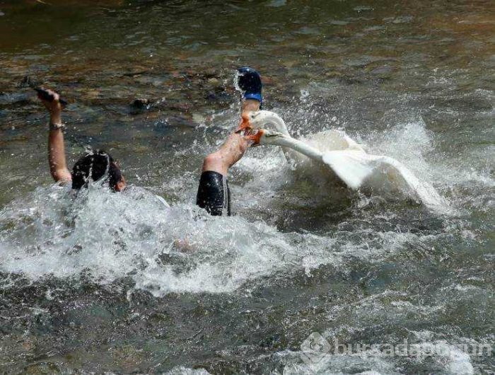 Günün en çok paylaşılan fotoğrafları