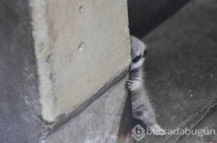 Günün en çok paylaşılan fotoğrafları