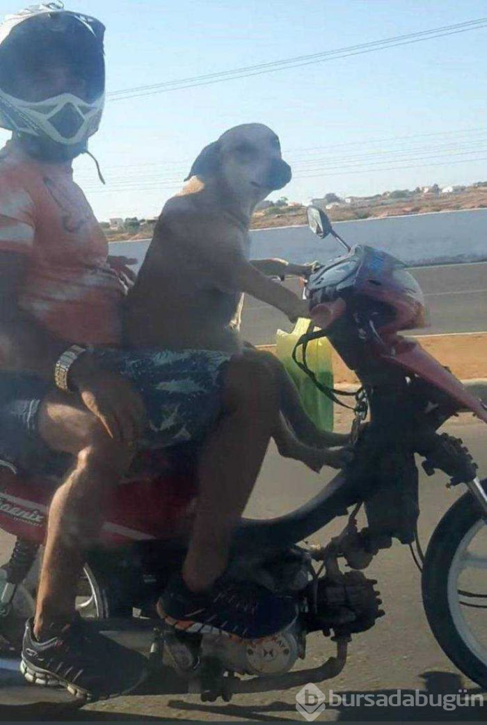 Günün en çok paylaşılan fotoğrafları