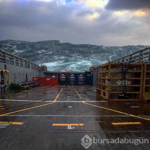Günün en çok paylaşılan fotoğrafları