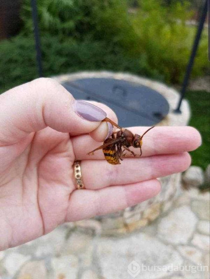 Günün en çok paylaşılan fotoğrafları