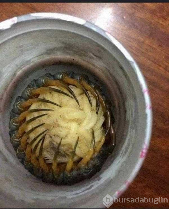 Günün en çok paylaşılan fotoğrafları