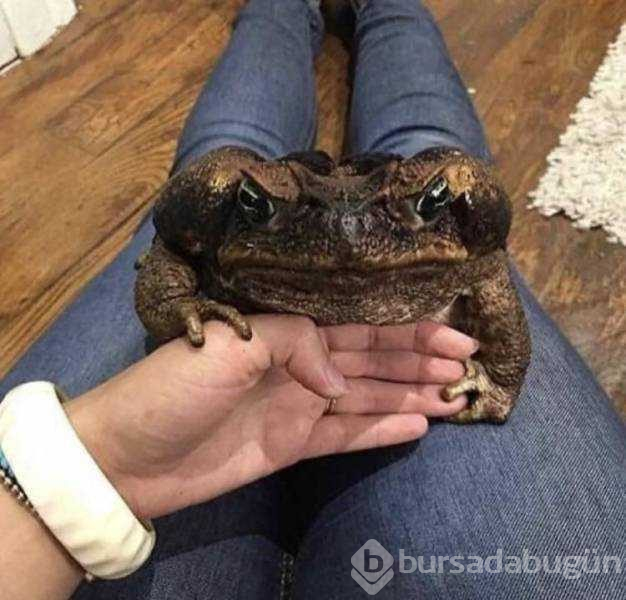 Günün en çok paylaşılan fotoğrafları
