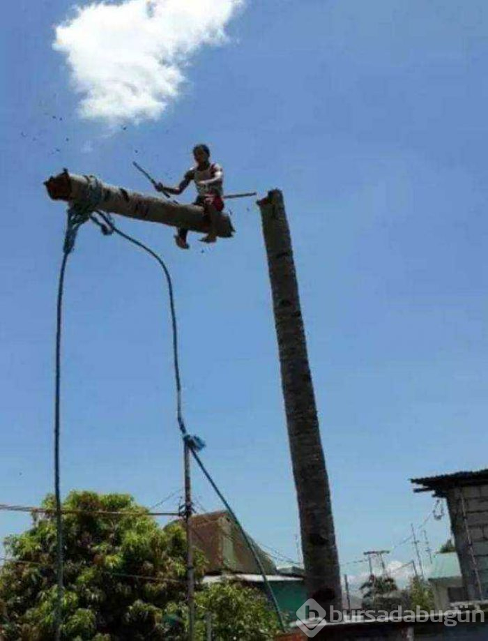 Günün en çok paylaşılan fotoğrafları