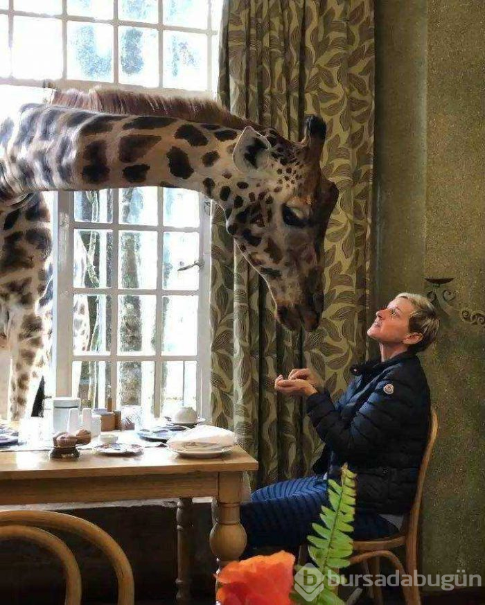 Günün en çok paylaşılan fotoğrafları