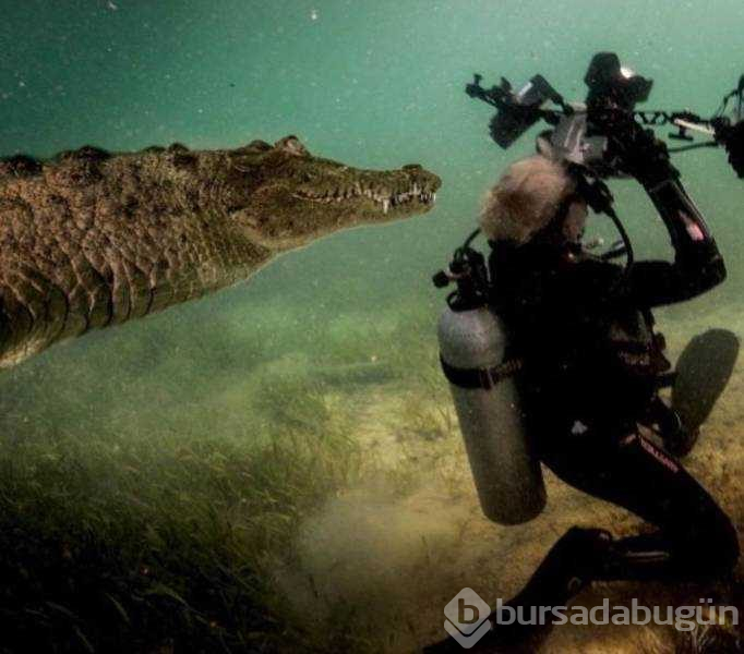 Günün en çok paylaşılan fotoğrafları