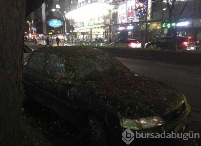 Günün en çok paylaşılan fotoğrafları