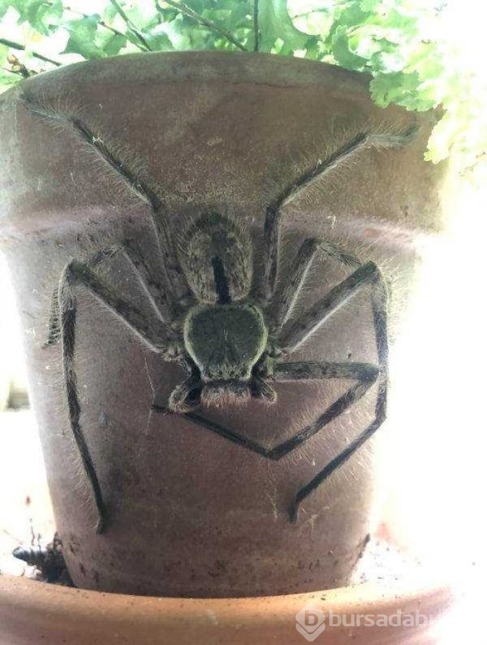 Günün en çok paylaşılan fotoğrafları