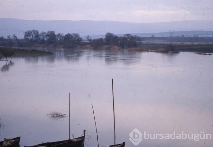 Beyşehir'de korkutan görüntü