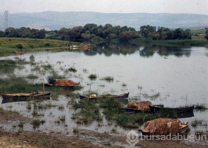 Beyşehir'de korkutan görüntü