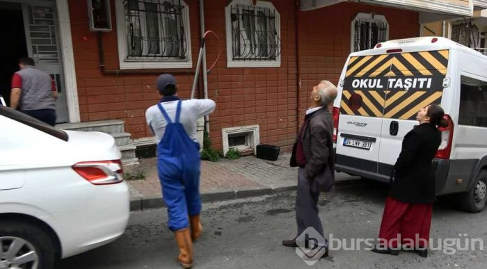 Pitbull cinsi köpek, korku dolu anlar yaşattı