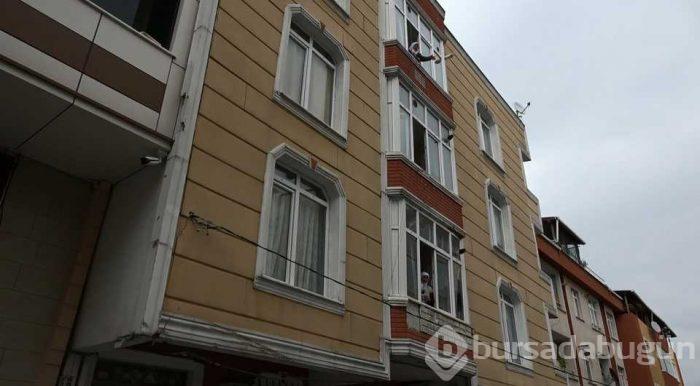 Pitbull cinsi köpek, korku dolu anlar yaşattı