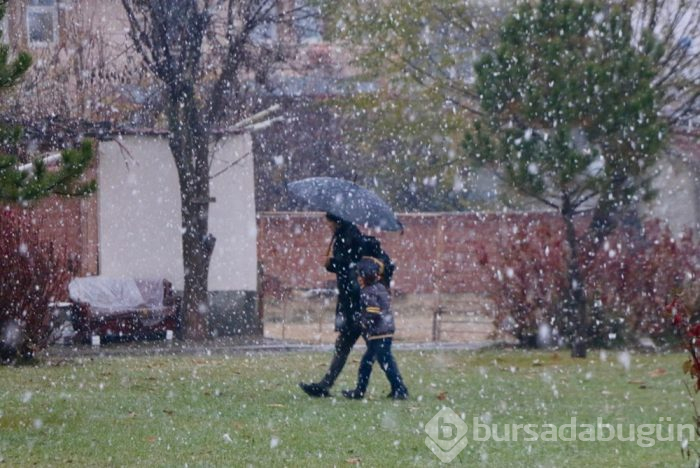 Türkiye'den kar manzaraları