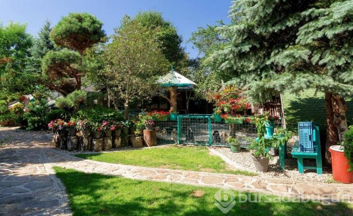 800 dilin konuşulduğu dünyanın en ilginç ülkesi