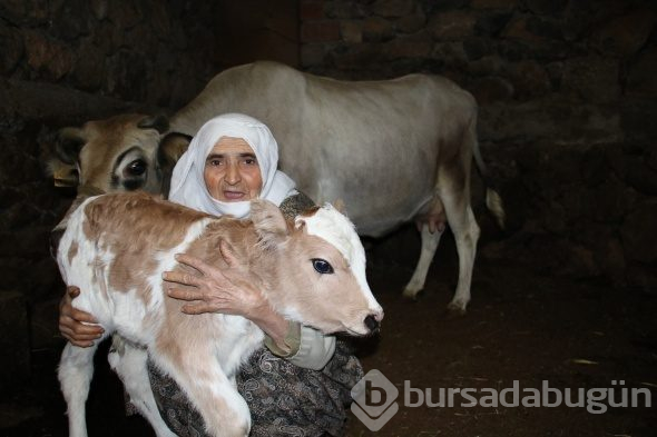 Cemile teyzenin mutluluk fotoğrafı