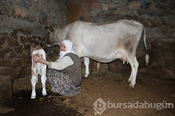 Cemile teyzenin mutluluk fotoğrafı