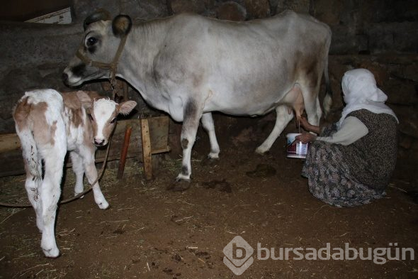 Cemile teyzenin mutluluk fotoğrafı