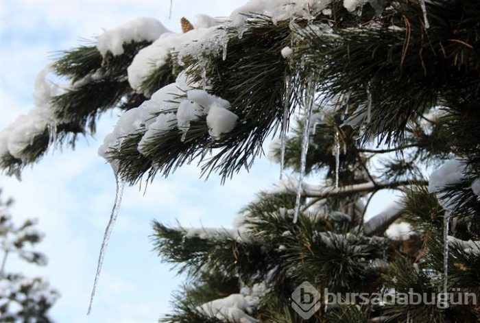 Erzurum'da süs havuzları buz tuttu