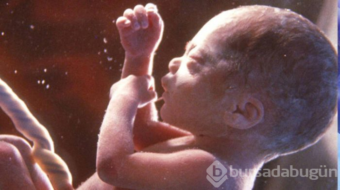 Amniyon sıvısı anne karnında bebeği koruyor