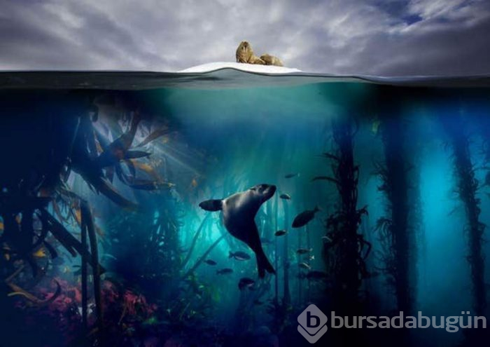 Son 10 yılın en iyi dizileri