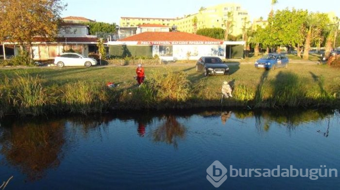Oksijensiz kalan balıklar derede can çekişti