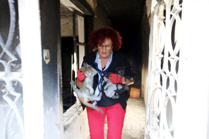 Yangında ölmemiş, cinayete kurban gitti!