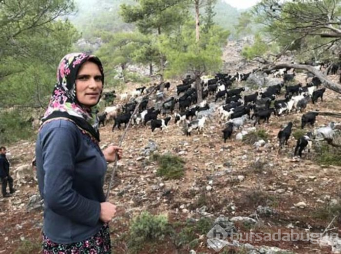 Konargöçerlik kültürünü sürdürmeye devam ediyorlar!