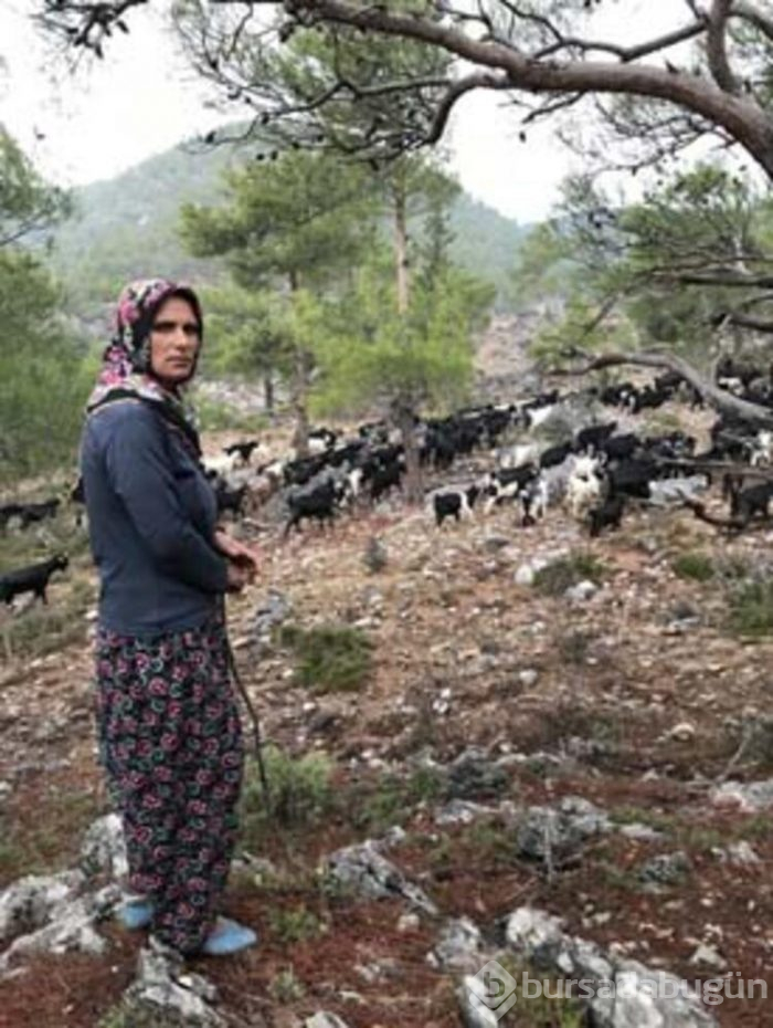 Konargöçerlik kültürünü sürdürmeye devam ediyorlar!