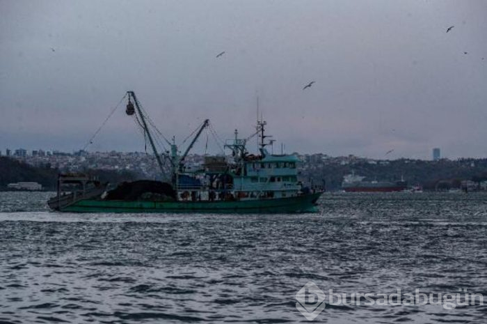 
Balıkçıların deniz tabanındaki optik kabloları kopardığı iddiası