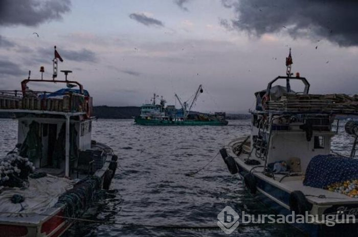 
Balıkçıların deniz tabanındaki optik kabloları kopardığı iddiası