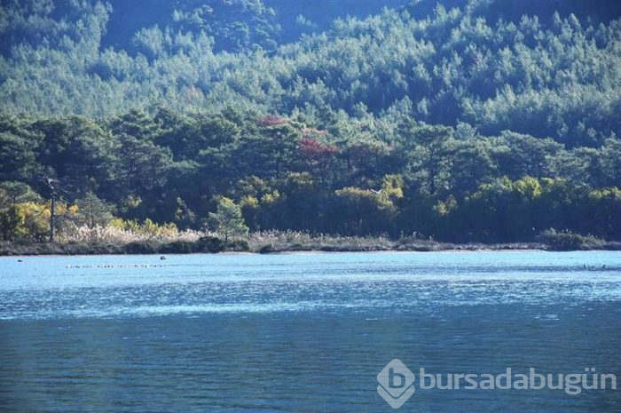 Deniz çekilince adacıklar ortaya çıktı!