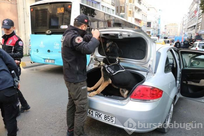 İstanbul'da 'Kurt Kapanı 19'