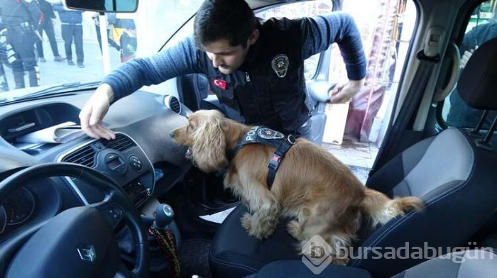 İstanbul'da 'Kurt Kapanı 19'