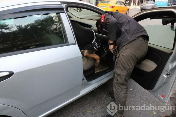 İstanbul'da 'Kurt Kapanı 19'