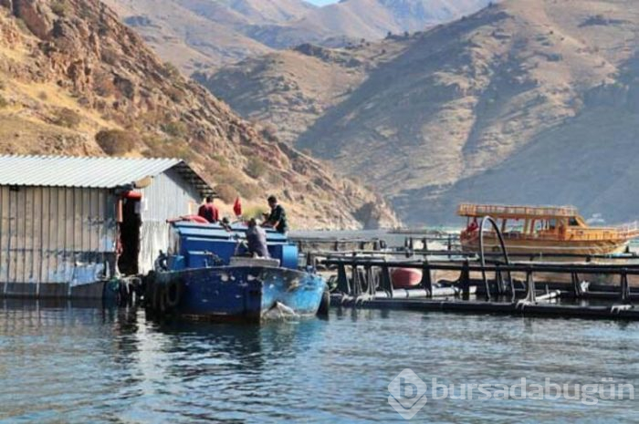 Alabalık Avrupa'ya, somon Uzak Doğu'ya