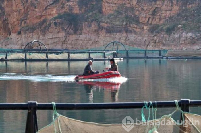 Alabalık Avrupa'ya, somon Uzak Doğu'ya