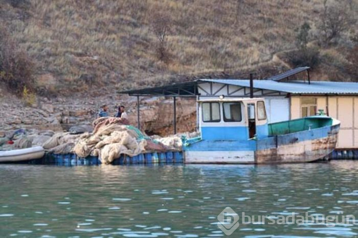 Alabalık Avrupa'ya, somon Uzak Doğu'ya