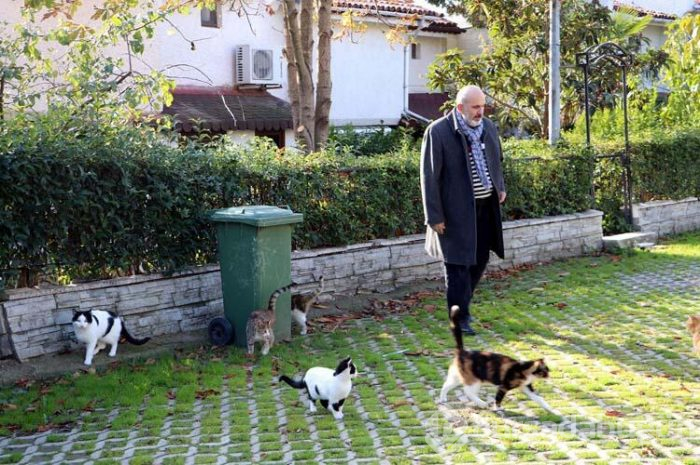 Rus kadın soruşturma başlattı!