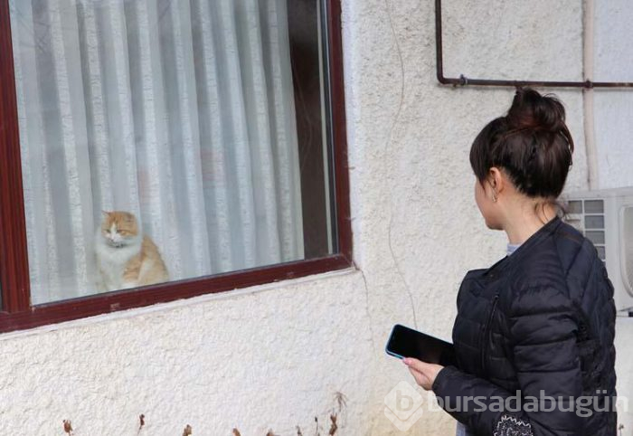 Rus kadın soruşturma başlattı!