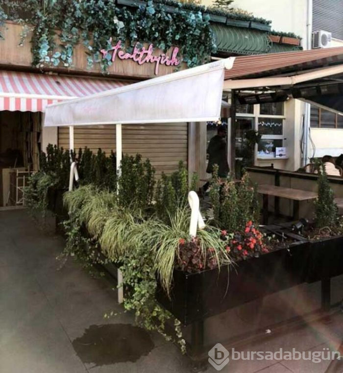 Şeyma Subaşı'ndan açıklama: Kapatıyoruz!