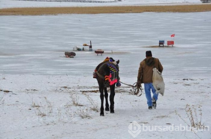 Çıldır Gölü'nde yerli turist heyecanı