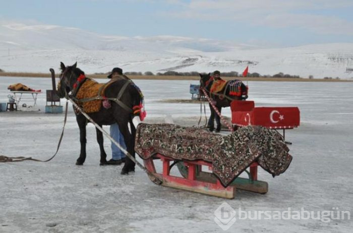 Çıldır Gölü'nde yerli turist heyecanı