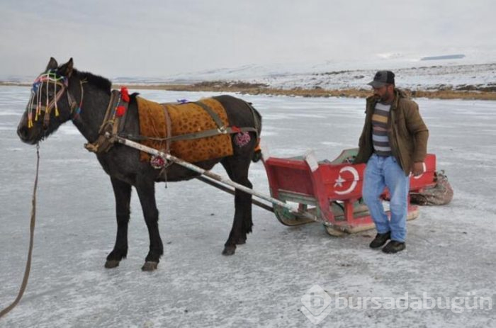 Çıldır Gölü'nde yerli turist heyecanı