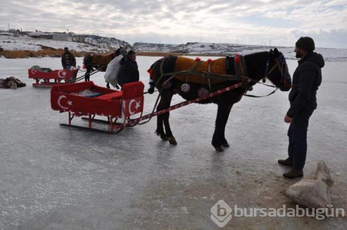 Çıldır Gölü'nde yerli turist heyecanı