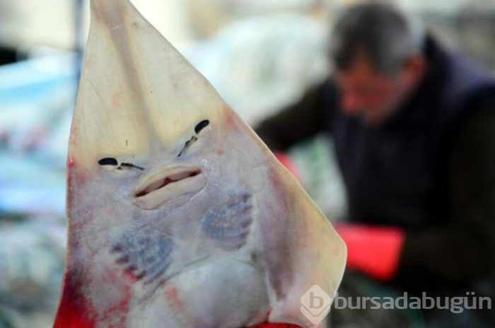 Adana'da bulunmuştu!